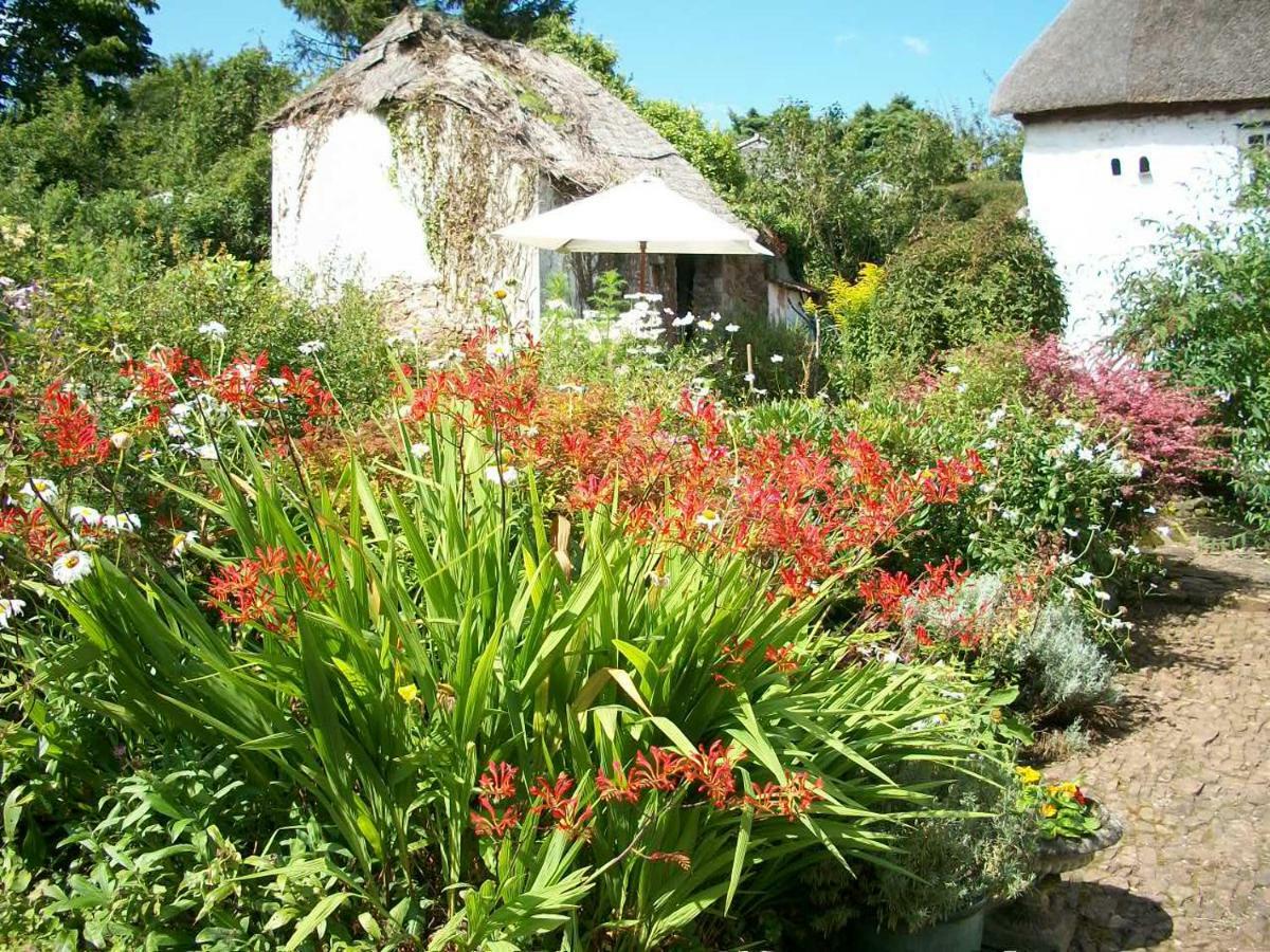 Middletown Farmhouse B&B Okehampton Eksteriør billede